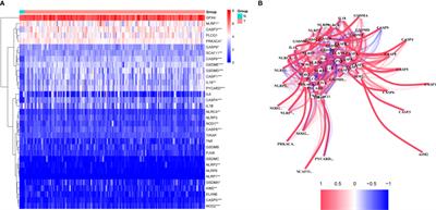 A Pyroptosis-Related Gene Signature for Predicting Survival in Glioblastoma